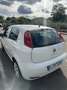 Fiat Punto Evo Punto 1.2 8V Young II *Klima*Allwetterreifen Neu* Weiß - thumbnail 13