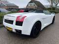 Lamborghini Gallardo 5.0 V10 4WD SPYDER Blanco - thumbnail 5