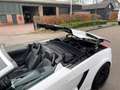 Lamborghini Gallardo 5.0 V10 4WD SPYDER Blanco - thumbnail 23