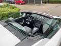 Lamborghini Gallardo 5.0 V10 4WD SPYDER Blanco - thumbnail 18