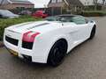 Lamborghini Gallardo 5.0 V10 4WD SPYDER Blanco - thumbnail 17