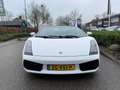 Lamborghini Gallardo 5.0 V10 4WD SPYDER Blanco - thumbnail 2
