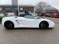 Lamborghini Gallardo 5.0 V10 4WD SPYDER Blanco - thumbnail 6