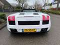 Lamborghini Gallardo 5.0 V10 4WD SPYDER Blanco - thumbnail 4