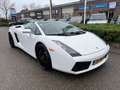 Lamborghini Gallardo 5.0 V10 4WD SPYDER Blanco - thumbnail 16