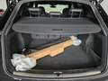 Audi Q5 40TDI quattroSline S-tr Luft*Black*Matrix*OLED*B&O Schwarz - thumbnail 36