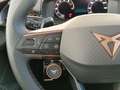 CUPRA Terramar 1.5 eTSI 110 DSG Blanco - thumbnail 11