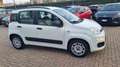 Fiat Panda 1.3 MJT S&S Pop Blanc - thumbnail 16