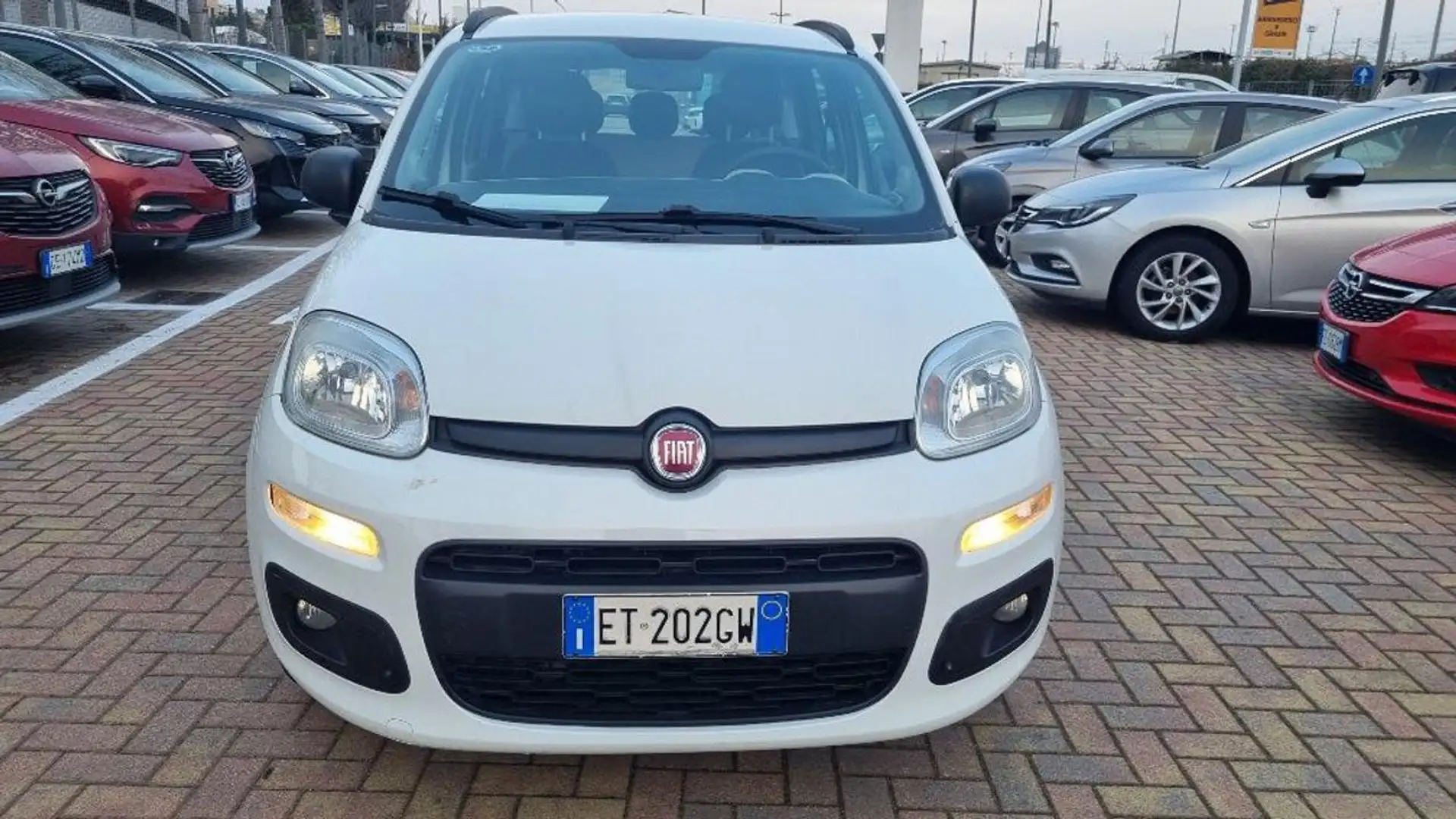 Fiat Panda 1.3 MJT S&S Pop Blanc - 1