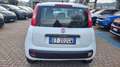 Fiat Panda 1.3 MJT S&S Pop Blanc - thumbnail 21