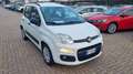 Fiat Panda 1.3 MJT S&S Pop Blanc - thumbnail 15