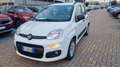 Fiat Panda 1.3 MJT S&S Pop Blanc - thumbnail 3