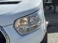 Ford Transit 350 96kW L4 Trend Propulsion Trasera - thumbnail 21
