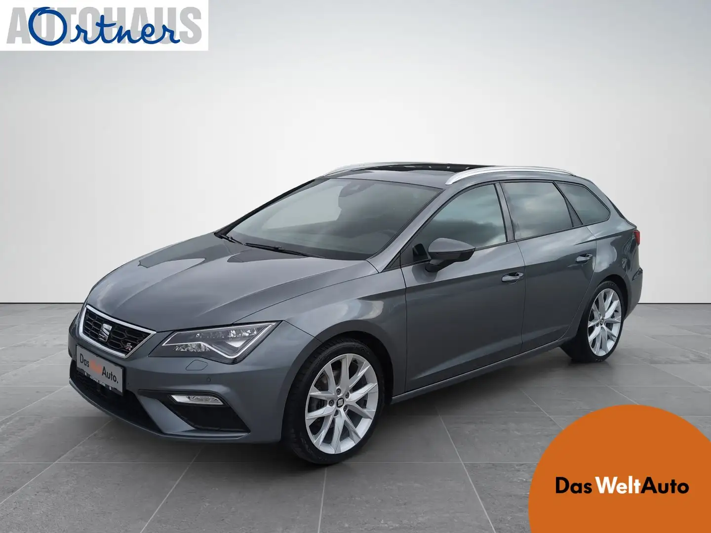 SEAT Leon FR TDI 4Drive Gris - 1