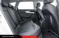 Audi A4 allroad 40 TDI 204 CV Quattro S tronic Identity Contrast Bianco - thumbnail 9