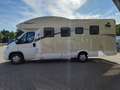 Ahorn Camp Canada TQ Plus Automatik Markise Sat-Anlage Blanc - thumbnail 4