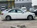 Mercedes-Benz C 250 C 250 CDI BlueEfficiency (204.003) Weiß - thumbnail 11
