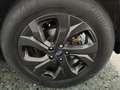 Subaru OUTBACK 2.5 Field CVT Vert - thumbnail 10