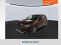 Volkswagen Tiguan Elegance 1.5 TSI DSG AHK RFK Matrix Keyless ACC Braun - thumbnail 1