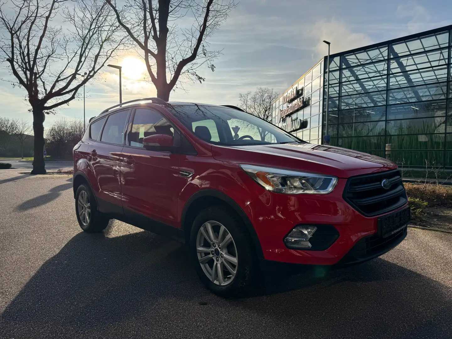 Ford Kuga Business Edition Navi/Carplay/Tempomat Rot - 2