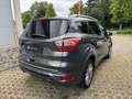 Ford Kuga Vignale 2.0TDCI Bi-Xenon Leder SONY KeyFree Grau - thumbnail 4