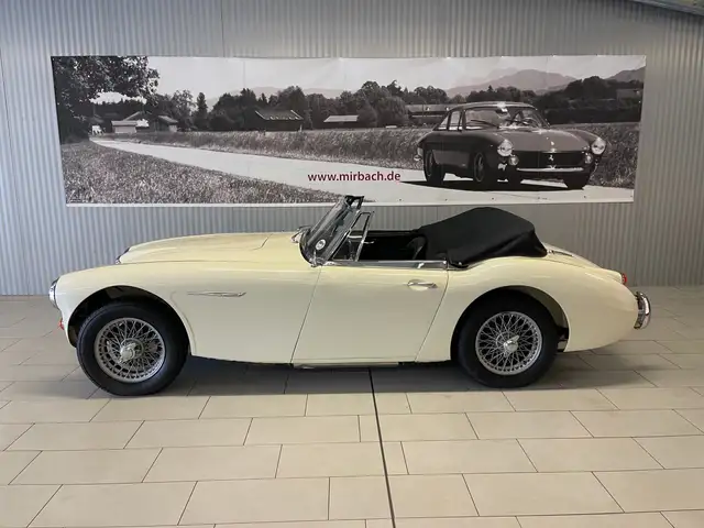 Austin Healey main image