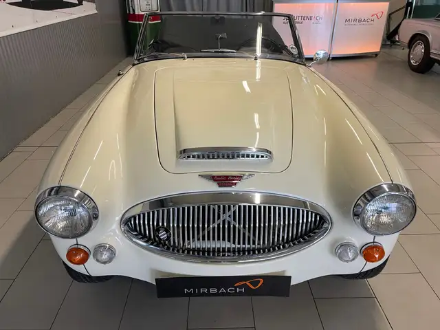 Austin Healey view 4