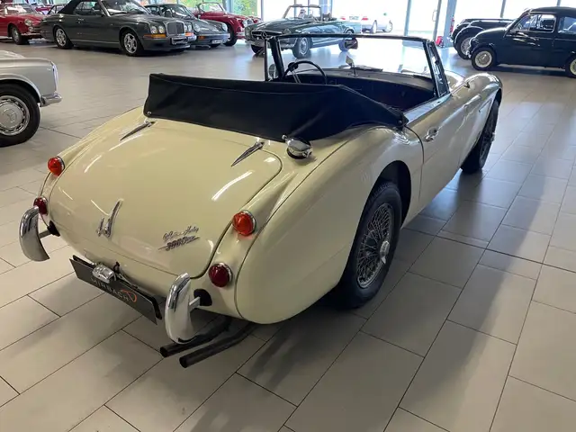 Austin Healey view 7