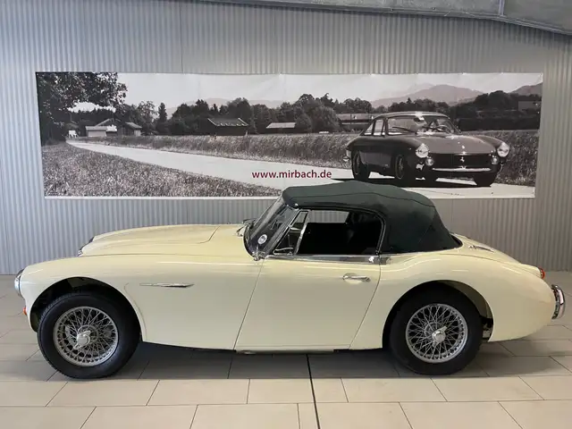 Austin Healey view 2