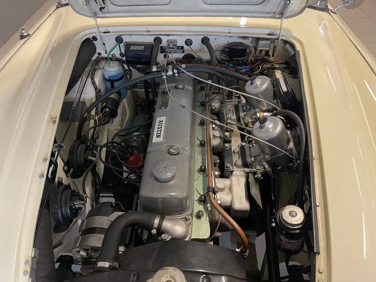 Austin-Healey 3000 Mark III (BJ8), foto 5