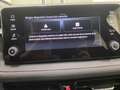 Skoda Fabia 1.0 TSI Selection DSG 85kW Gris - thumbnail 27
