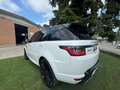 Land Rover Range Rover Sport 3.0 tdV6 Autobiography auto - thumbnail 4