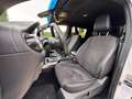 Mercedes-Benz X 250 d 4Matic HARDTOP+PIANO ESTRAIBILE Wit - thumbnail 20