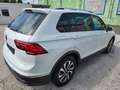 Volkswagen Tiguan Active 2,0 TDI KAMERA*AHK Blanc - thumbnail 6