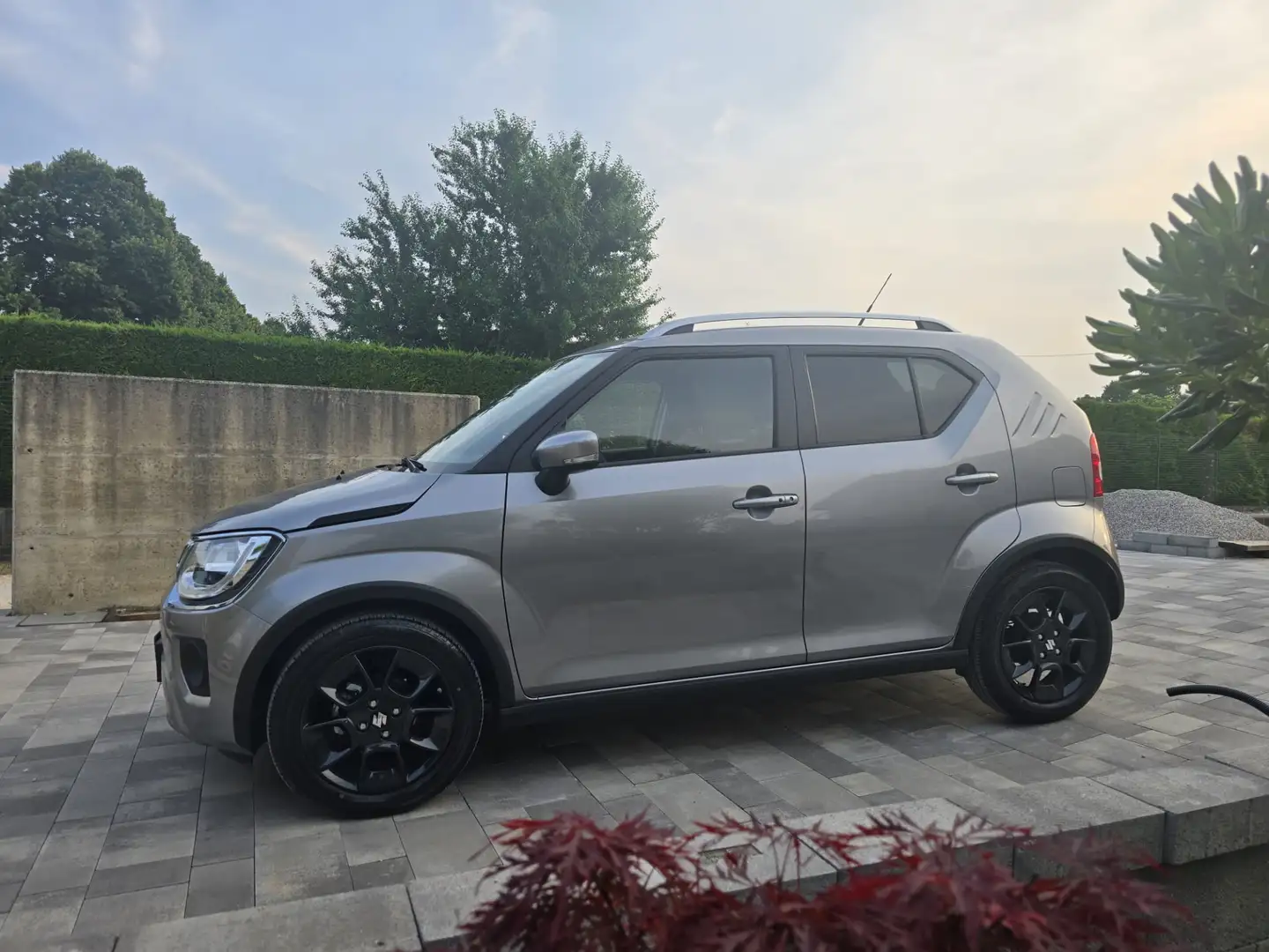 Suzuki Ignis 1.2h Top 2wd cvt - 2