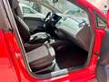 SEAT Ibiza 1.2 Tsi Reference 85 Rojo - thumbnail 12