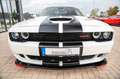 Dodge Challenger 6.4 HEMI  SCAT PACK SRT Weiß - thumbnail 16