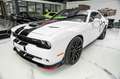 Dodge Challenger 6.4 HEMI  SCAT PACK SRT Weiß - thumbnail 1