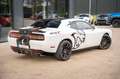 Dodge Challenger 6.4 HEMI  SCAT PACK SRT Weiß - thumbnail 13