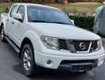 Nissan Navara D40 Weiß - thumbnail 6