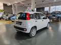 Fiat Panda Panda III 2016 0.9 Metano BOMBOLE REVISONATE Weiß - thumbnail 4