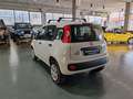 Fiat Panda Panda III 2016 0.9 Metano BOMBOLE REVISONATE Weiß - thumbnail 3