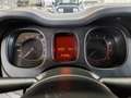 Fiat Panda Panda III 2016 0.9 Metano BOMBOLE REVISONATE Weiß - thumbnail 10