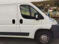 Citroen Jumper 30L1H1 2.2 HDi 110cv Euro 5 Blanc - thumbnail 6