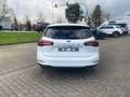 Ford Focus Titanium Automatik Winter-P./SYNC IV Navi Weiß - thumbnail 6