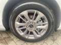 Ford Focus Titanium Automatik Winter-P./SYNC IV Navi Weiß - thumbnail 10