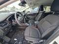 Ford Focus Titanium Automatik Winter-P./SYNC IV Navi Weiß - thumbnail 17