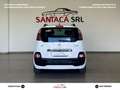 Citroen C3 C3 Picasso Picasso 1.2 puretech Exclusive 110 CV Weiß - thumbnail 4
