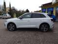 Audi Q5 2.0 Tdi 204 cv S tronic S-Line -Matrix- Sport "20" Bianco - thumbnail 5