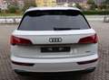 Audi Q5 2.0 Tdi 204 cv S tronic S-Line -Matrix- Sport "20" Bianco - thumbnail 9